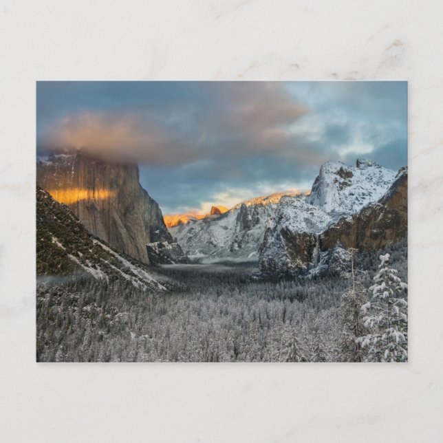 Postal Marca de invierno (Anverso)