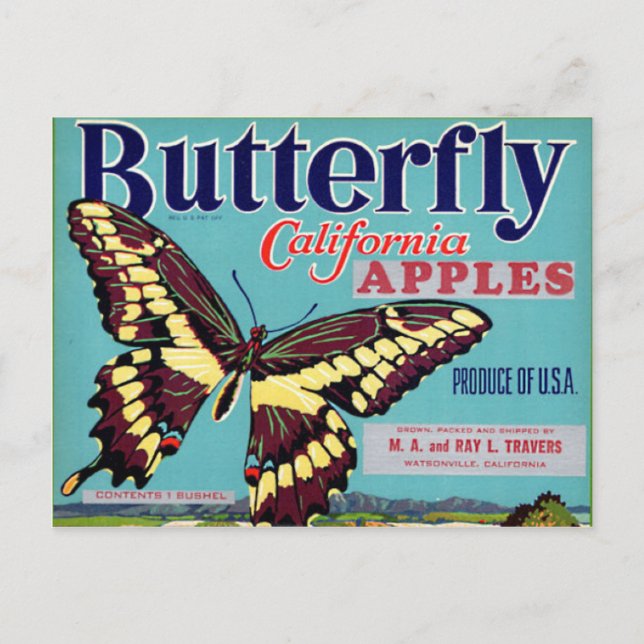Postal Marca de mariposa (Anverso)