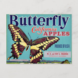 Postal Marca Mariposa