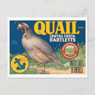 Postal Marca Quail Contra Costa Bartletts Vintage Crate L