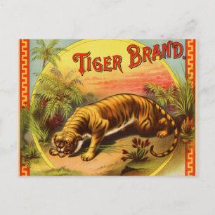 Postal Marca Tiger 1900