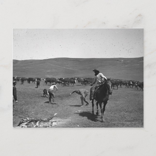 Postal Marcado de vaqueros (Anverso)