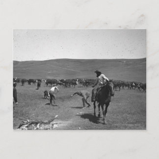 Postal Marcado de vaqueros