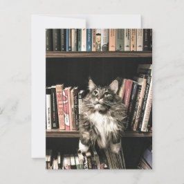 Postal Marcador de gatos