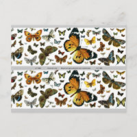 Marcador de imagen anticuario de mariposas colorid