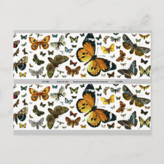 Postal Marcador de imagen anticuario de mariposas colorid