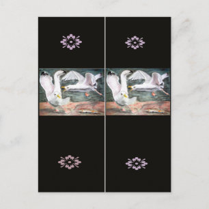 Postal Marcador de las gaviotas de combate