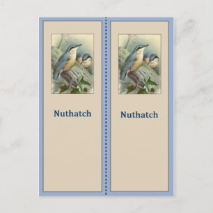 Postal Marcador de pájaro Nuthatch de bonito