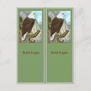 Postal Marcadores de aves de águila calva