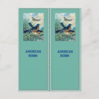 Marcadores Robin americanos