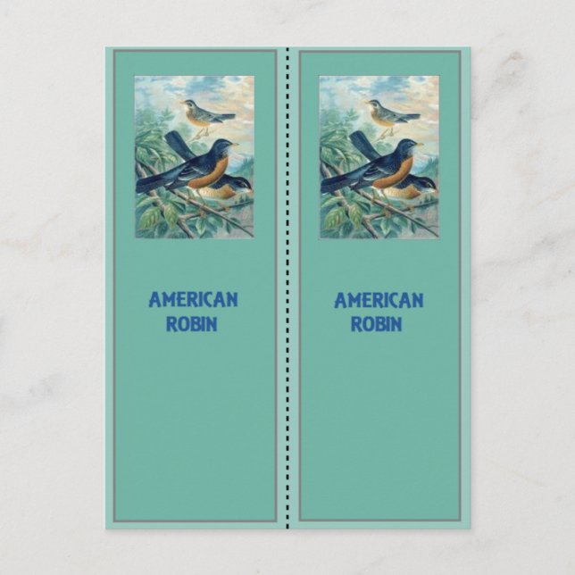Postal Marcadores Robin americanos (Anverso)