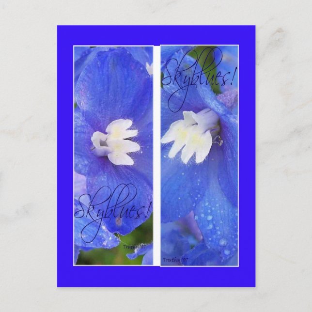 POSTAL MARCADOS DE RESERVAS SKYBLUES II (Anverso)