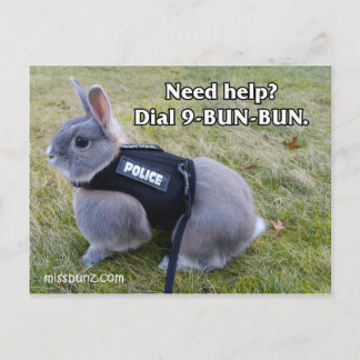 Postal Marcar 9 Bun Bun Postcard