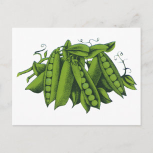 Postal Marcas para la infusión de azúcar, alimentos, verd