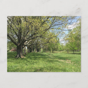 Postal Marcha de primavera