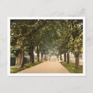 Postal Marcha del Sur, Dorchester, Dorset, Inglaterra