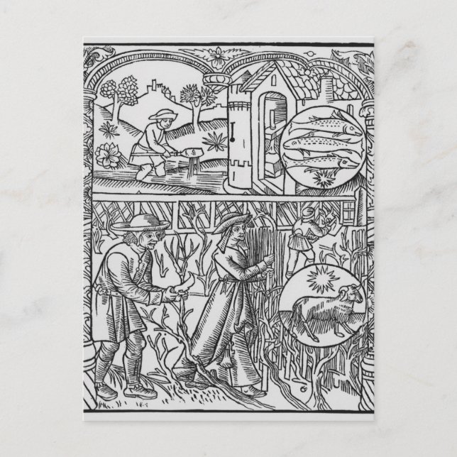 Postal Marcha, pesca y poda de árboles, Pisces (Anverso)