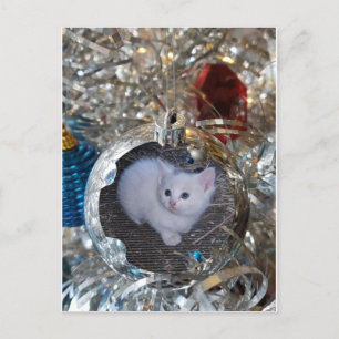 Postal Marco completo de la bombilla plateada