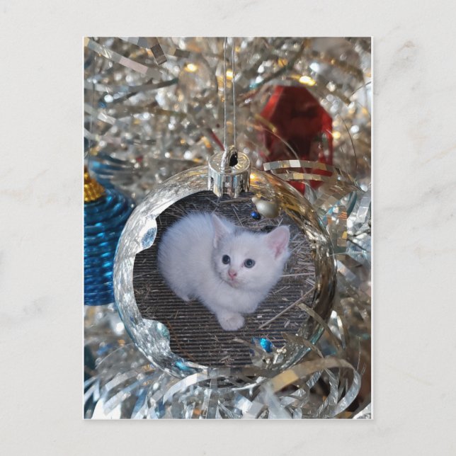 Postal Marco completo de la bombilla plateada (Anverso)