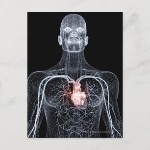 Postal Marco de cables de los vasos sanguíneos de la part