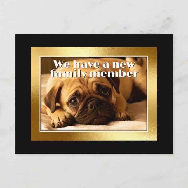 Postal Marco dorado - forma rectangular 6 perro pug (Anverso)