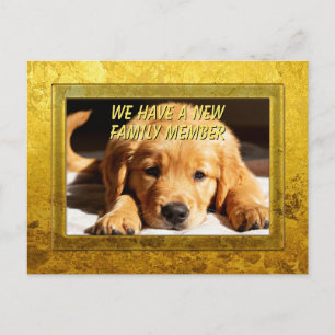 Postal Marco Dorado - Forma Rectangular 8 Retriever Dorad