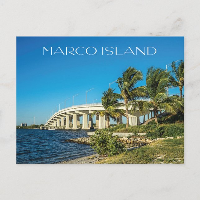 Postal Marco Island Naples Florida Bridge Photo (Anverso)