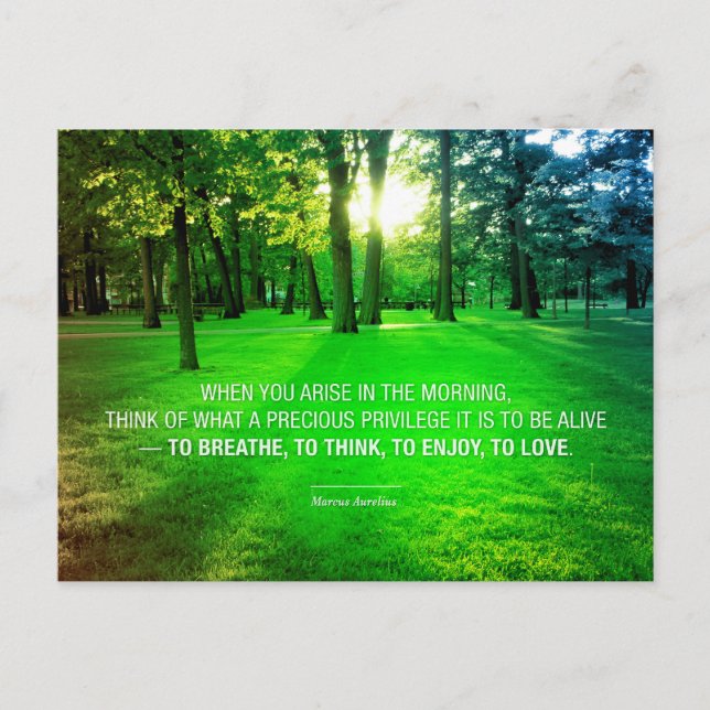 Postal Marcus Aurelius Life Stoic Privilege cita la vida (Anverso)