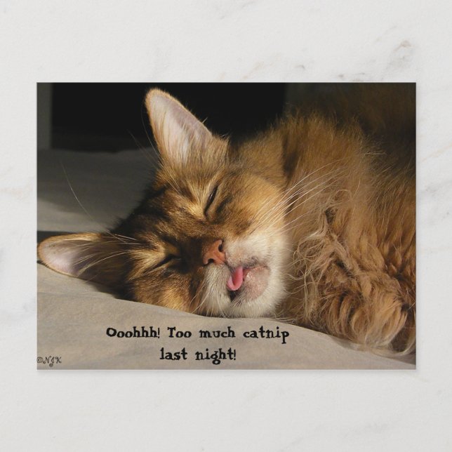 Postal Marcus Tiene Una Aguja (Anverso)