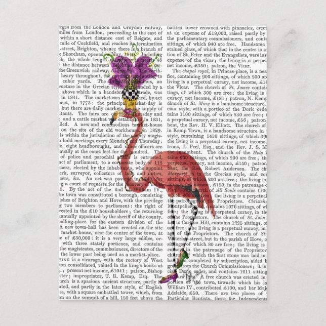 Postal Mardi Gras Flamingo lleno (Anverso)