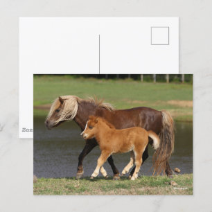 Postal Mare en miniatura y peatones caminando a orillas d