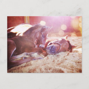 Postal Mare y Foal