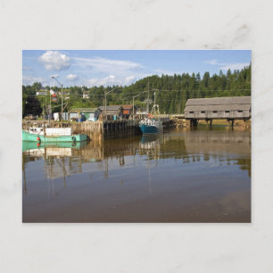 Postal Marea media en la Bahía de Fundy en St. Martins, N