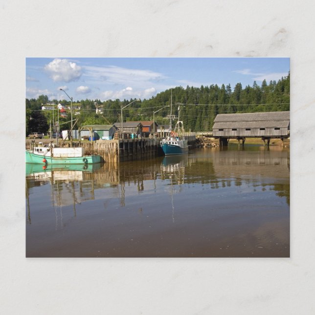 Postal Marea media en la Bahía de Fundy en St. Martins, N (Anverso)
