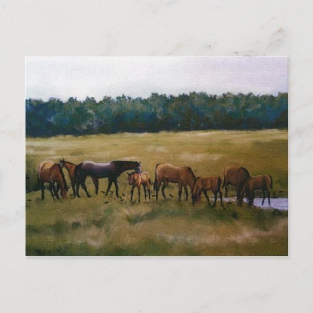 Postal Mares and Fotogramas Original Art Postcard (Anverso)