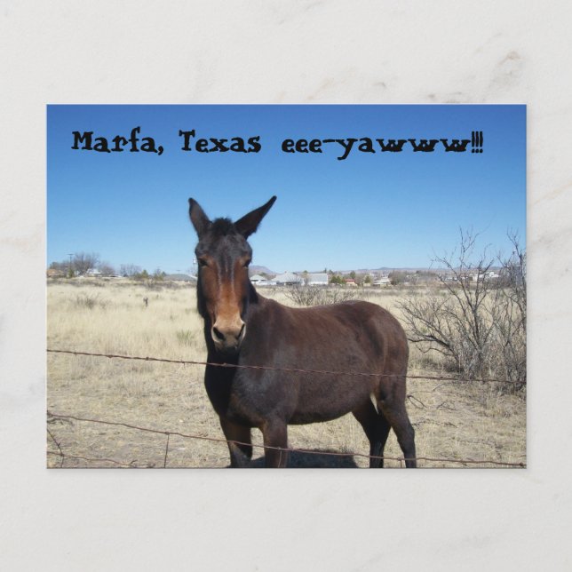 Postal Marfa, Texas, eee-yawww!!! (Anverso)