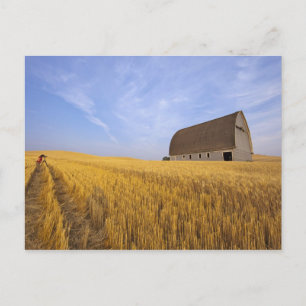 Postal Margaret Horton en la fotografía de Palouse 2009