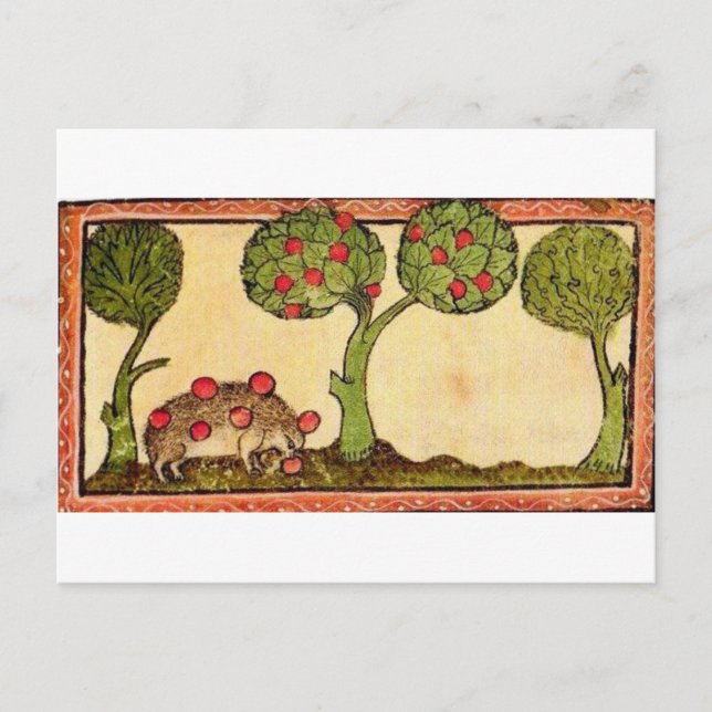 Postal Marginalia Hedgehog (Anverso)