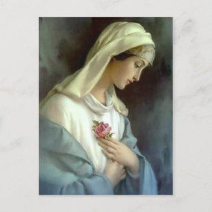 Postal María de la Santísima Virgen Católica con Rosa