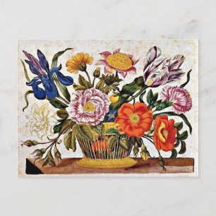 Postal Maria Sibylla Merian - De der Raupen Wunderbare