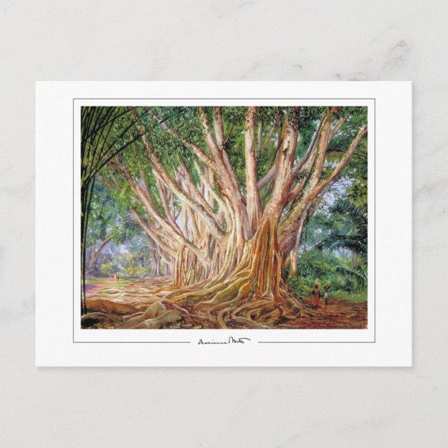 Postal Marianne North #5 - Postcard Bella Artes (Anverso)