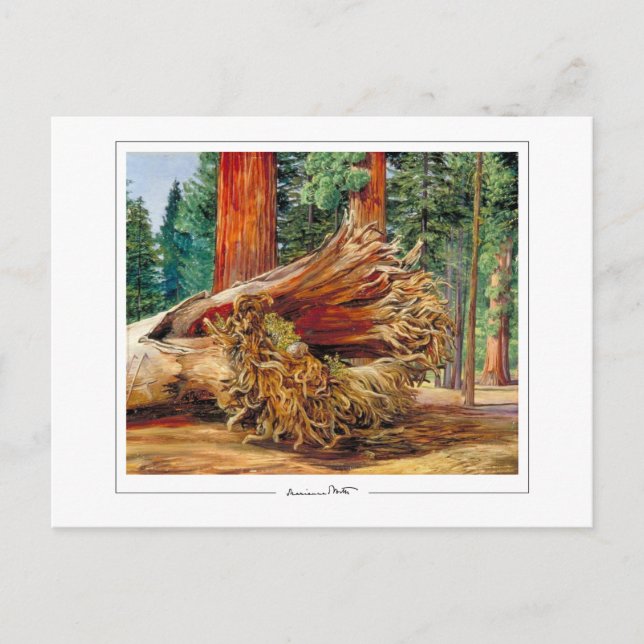 Postal Marianne North #7 - Postcard Bella Artes (Anverso)