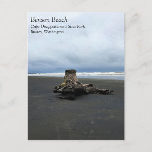 Postal Marido de deriva en la playa de Benson, decepción