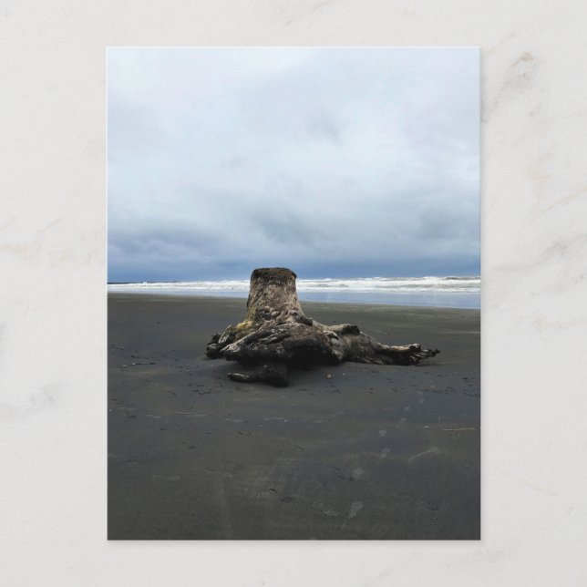 Postal Marido de deriva en la playa de Benson, decepción  (Anverso)