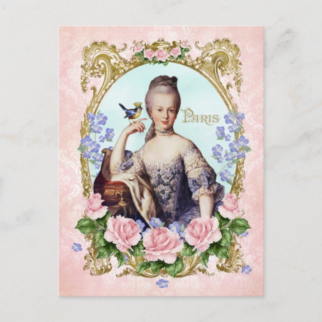 Postal Marie Antoinette Pink Damask Antonia Rosa Postcard (Anverso)