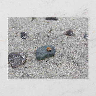 Postal Marienkäfer Strand