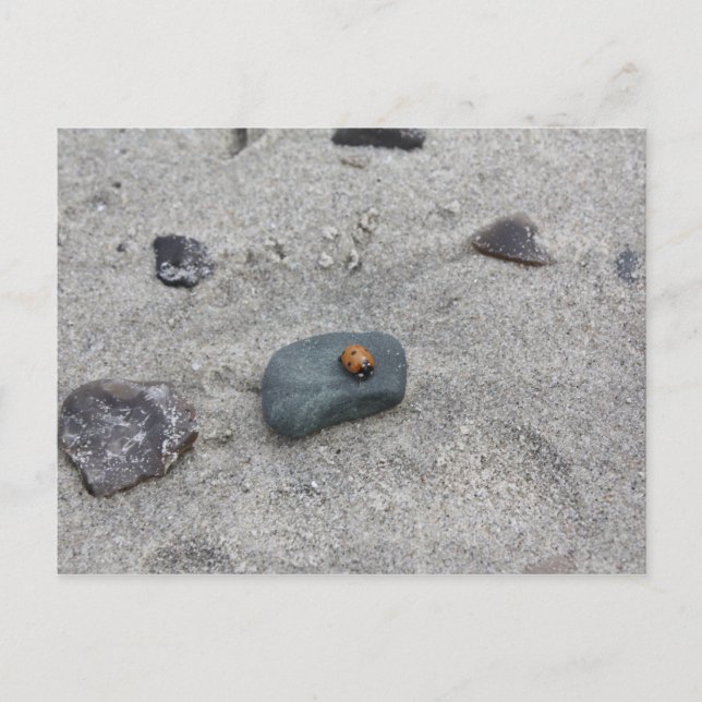 Postal Marienkäfer Strand (Anverso)