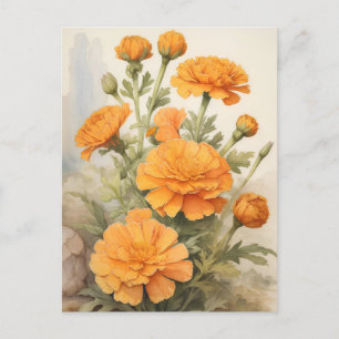 Postal Marigold