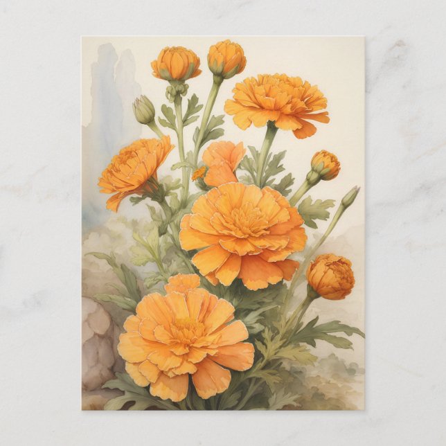 Postal Marigold (Anverso)
