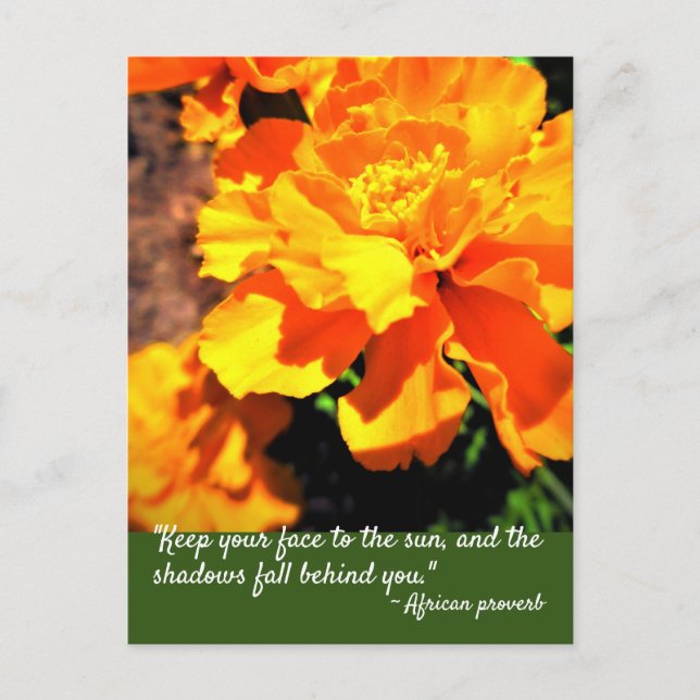 Postal Marigolds, Naranja brillante, flores inspiradoras  (Anverso)